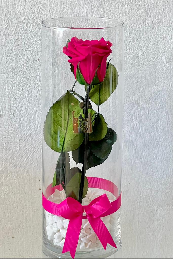 Am83 rosa preservada con tallo ( duracion 3años) - Flores de Guatemala en  Santa Tecla